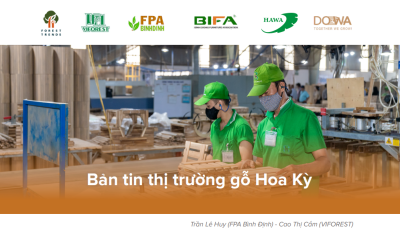 Bản tin thị trường gỗ Hoa Kỳ